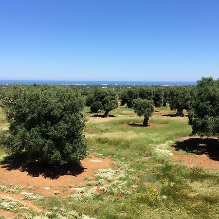 Masseria Capece Pezze Di Greco Dış mekan fotoğraf