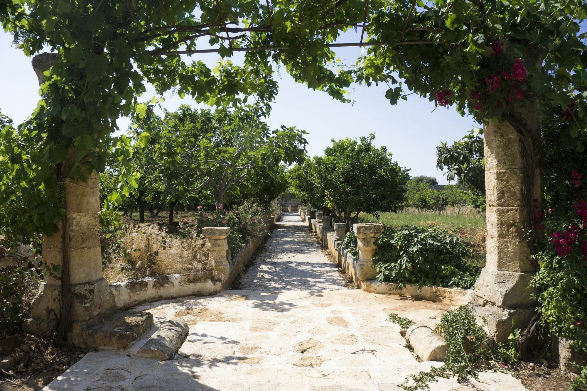 Masseria Capece Pezze Di Greco Dış mekan fotoğraf